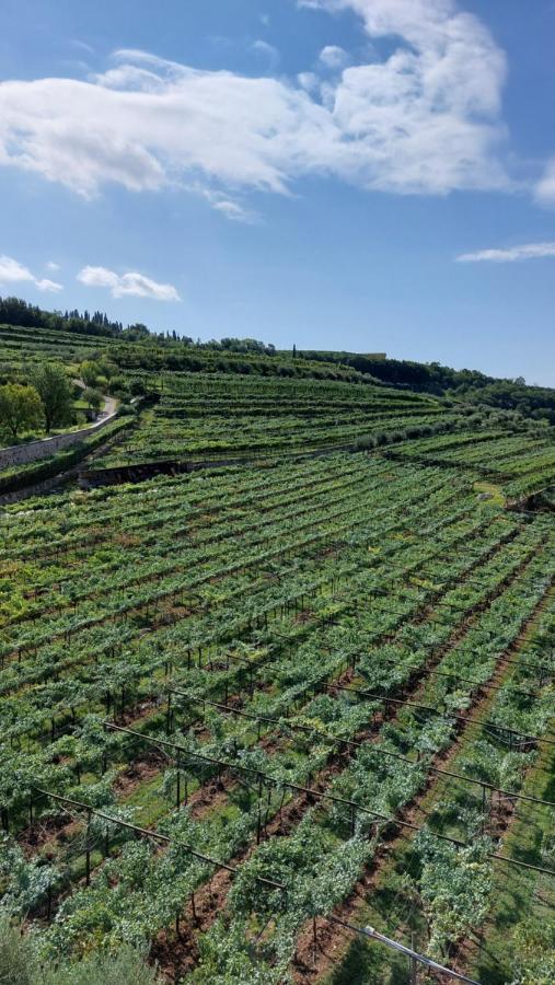 פומאנה Azienda Agrituristica Corteforte מראה חיצוני תמונה