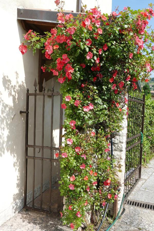 פומאנה Azienda Agrituristica Corteforte מראה חיצוני תמונה