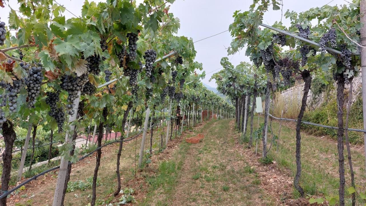 פומאנה Azienda Agrituristica Corteforte מראה חיצוני תמונה