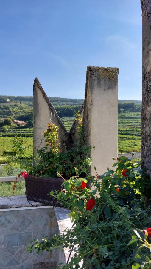 פומאנה Azienda Agrituristica Corteforte מראה חיצוני תמונה
