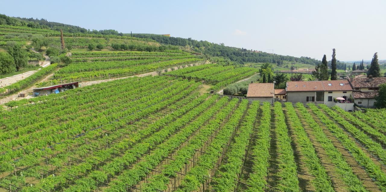פומאנה Azienda Agrituristica Corteforte מראה חיצוני תמונה